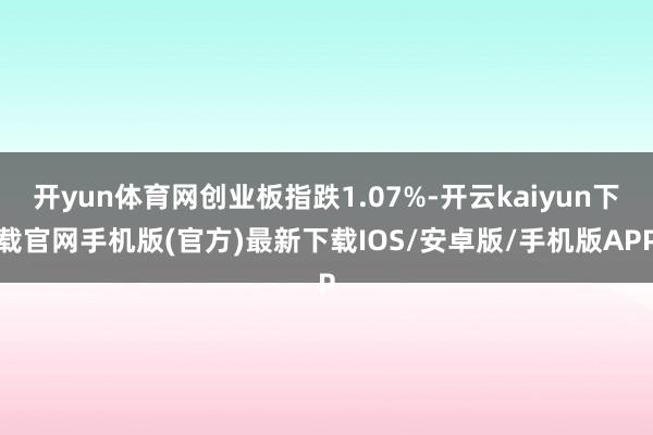 开yun体育网创业板指跌1.07%-开云kaiyun下载官网手机版(官方)最新下载IOS/安卓版/手机版APP