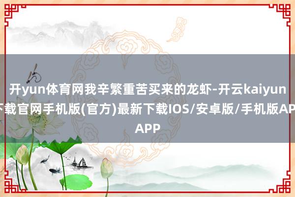 开yun体育网我辛繁重苦买来的龙虾-开云kaiyun下载官网手机版(官方)最新下载IOS/安卓版/手机版APP