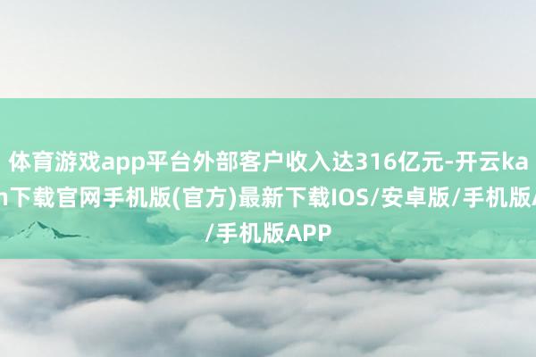 体育游戏app平台外部客户收入达316亿元-开云kaiyun下载官网手机版(官方)最新下载IOS/安卓版/手机版APP