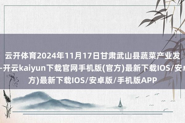 云开体育2024年11月17日甘肃武山县蔬菜产业发展中心价钱行情-开云kaiyun下载官网手机版(官方)最新下载IOS/安卓版/手机版APP