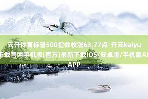 云开体育标普500指数收涨63.77点-开云kaiyun下载官网手机版(官方)最新下载IOS/安卓版/手机版APP